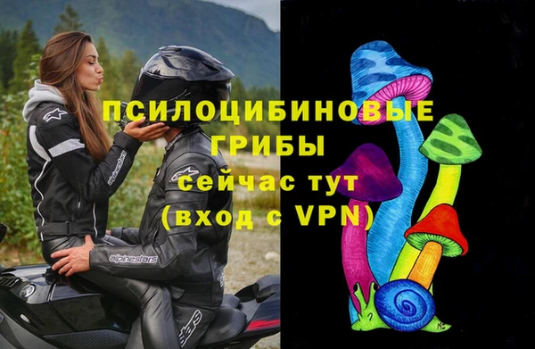 первитин Абинск
