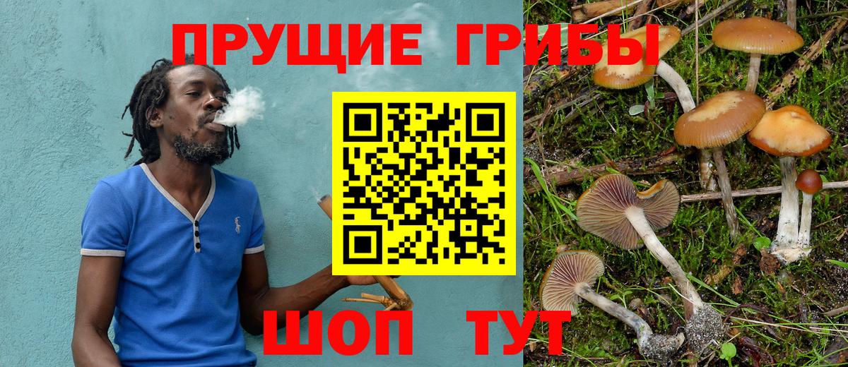 Галлюциногенные грибы GOLDEN TEACHER  Галлюциногенные грибы Psilocybine cubensis  Уварово  Вход с VPN 